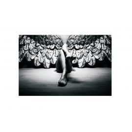 Glass picture lady with angel wings 90x150